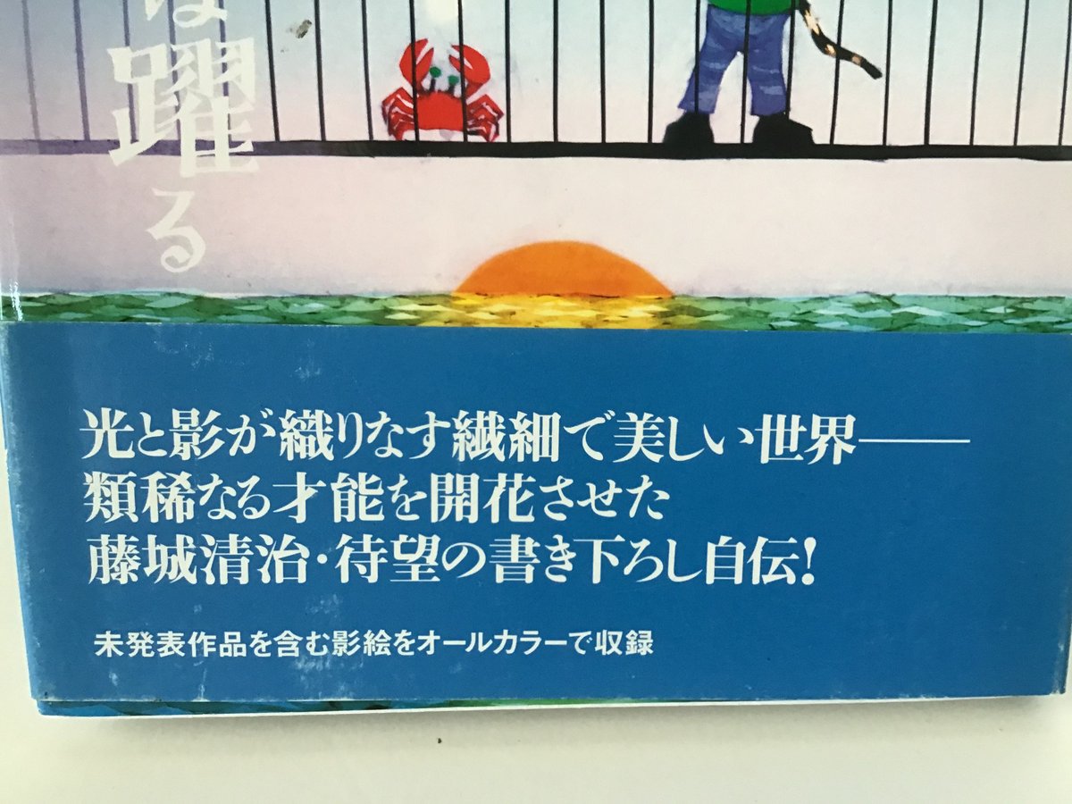 光は歌い影は踊る 藤城清治の軌跡 | torokko puppet 光は歌い影は踊る 藤城清治の軌跡 | torokko puppet