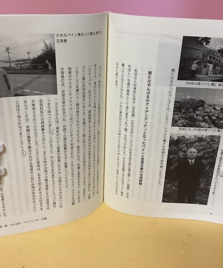 やんばると台湾（パインと人形劇にみるつながり）