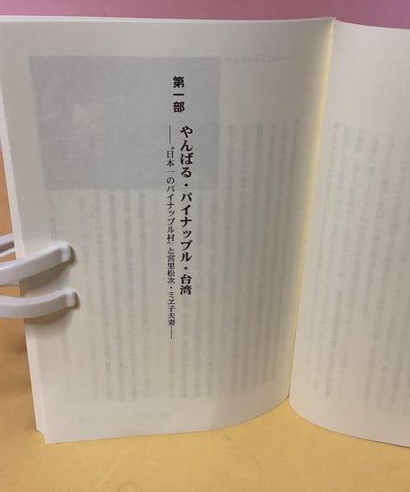 やんばると台湾（パインと人形劇にみるつながり）