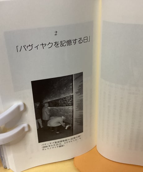 ワルシャワの日本人形（岩波ジュニア新書）