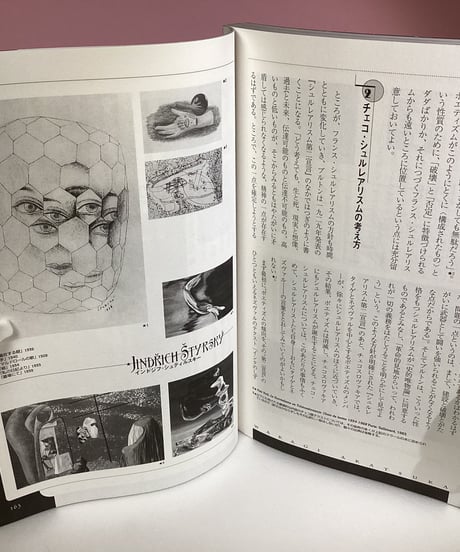YASO   夜想35  チェコの魔術的芸術