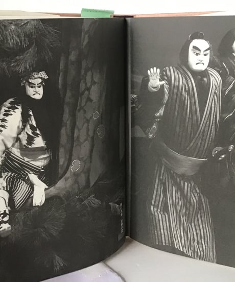 文楽の男　吉田玉男の世界
