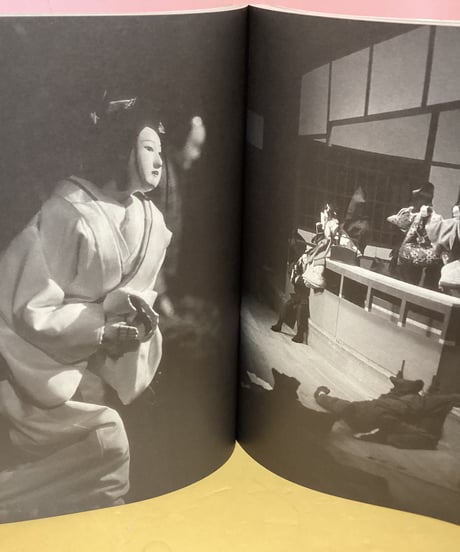 文楽の女（吉田簑助の世界）