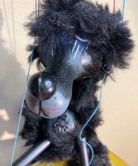 Pelham社　黒プードル