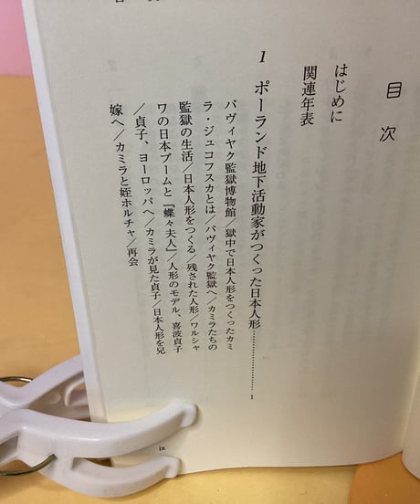 ワルシャワの日本人形（岩波ジュニア新書）