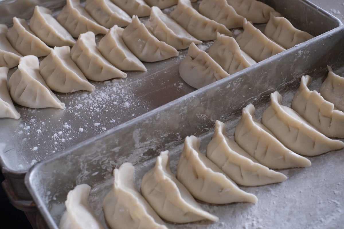 冷凍餃子 30個入り | 餃子スラッピー