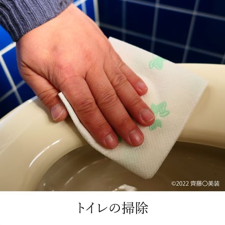 内装用洗剤　弱アルカリのやつversion1（正規品） 300mlボトルのみ