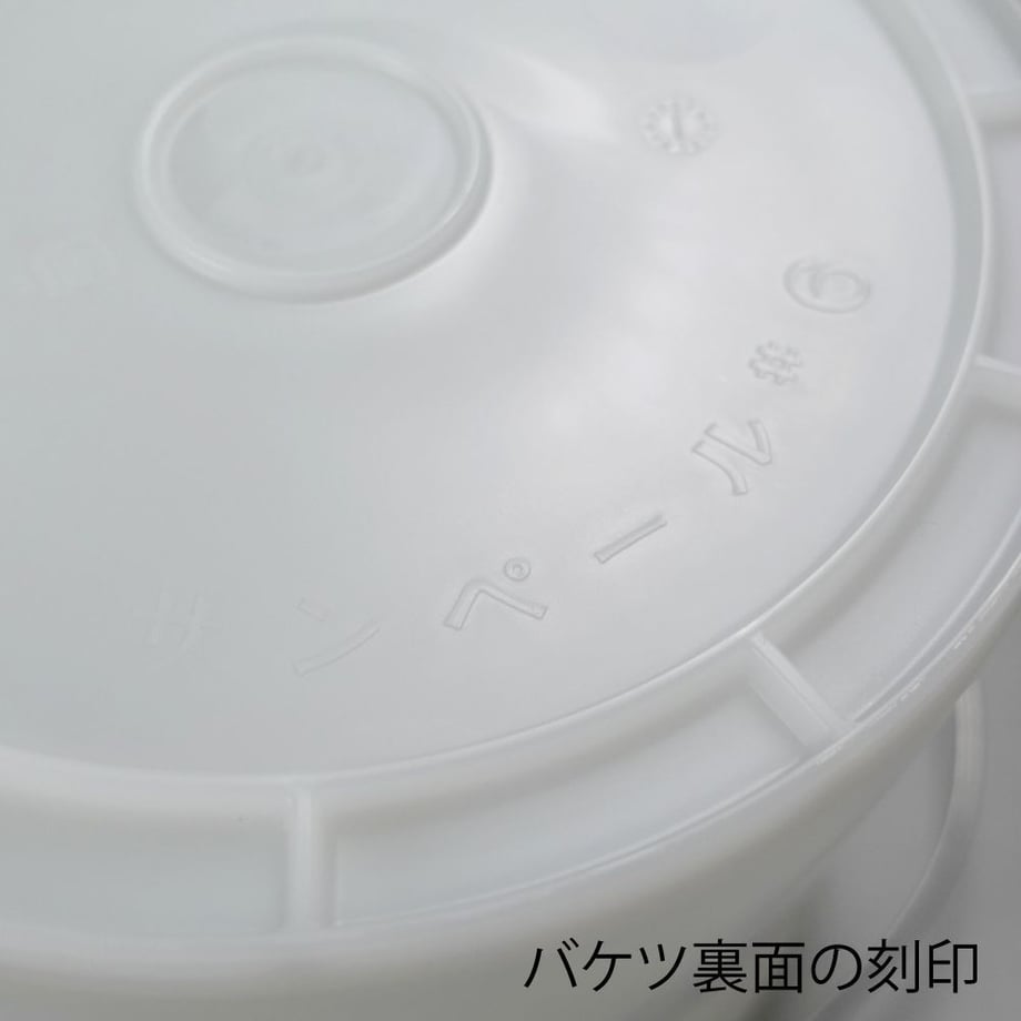 60178097c19c4503b2087a77