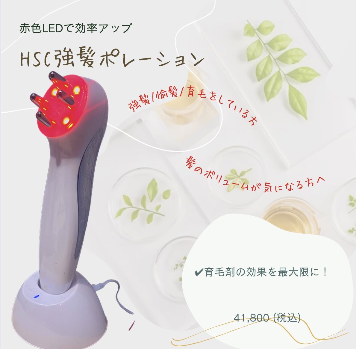 強髪ポレーションpremium | 【souvenir】オンラインストア 強髪ポレーションpremium | 【souvenir】オンラインストア