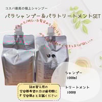 改良型パラシャンプートリートメント1Lセット+Altoミスト+Altoオイル パラシャンプープラス＆パラトリートメントプラス/アルトミスト