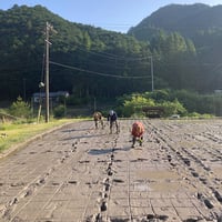大台町産  自然栽培もち米　 満月もち