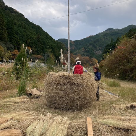 大台町産  自然栽培うるち米　 初霜