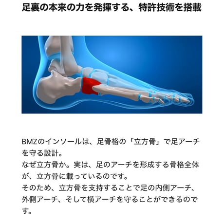 BMZ ストライカースポーツ　薄型　各サイズ