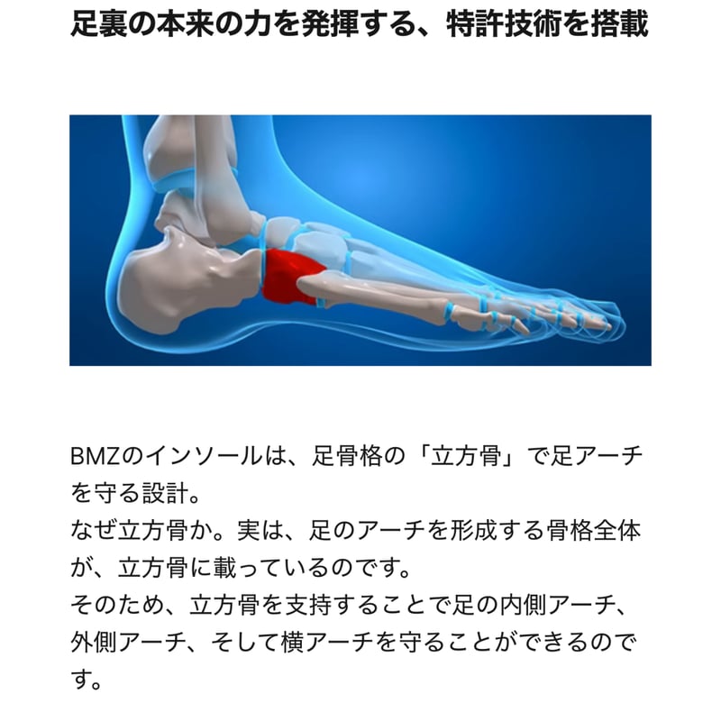 BMZストライカースポーツプロモデル　各サイズあります ストライカースポーツ プロモデル – BMZ公式
