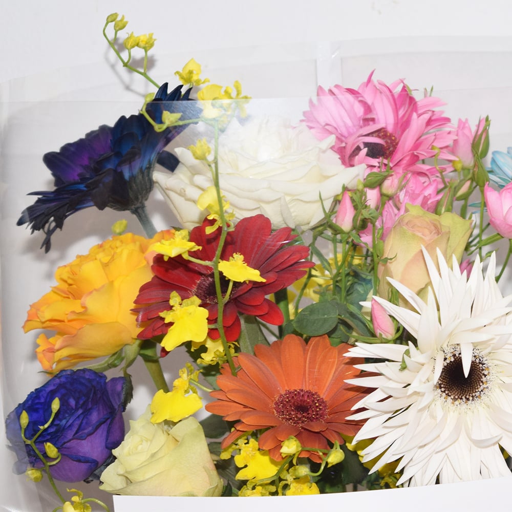 ﾈｺﾁｬﾝにも安心なブーケ | DILIGENCE PARLOUR FLOWER GIFT SHOP