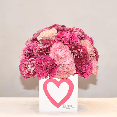 Carnation arrangement