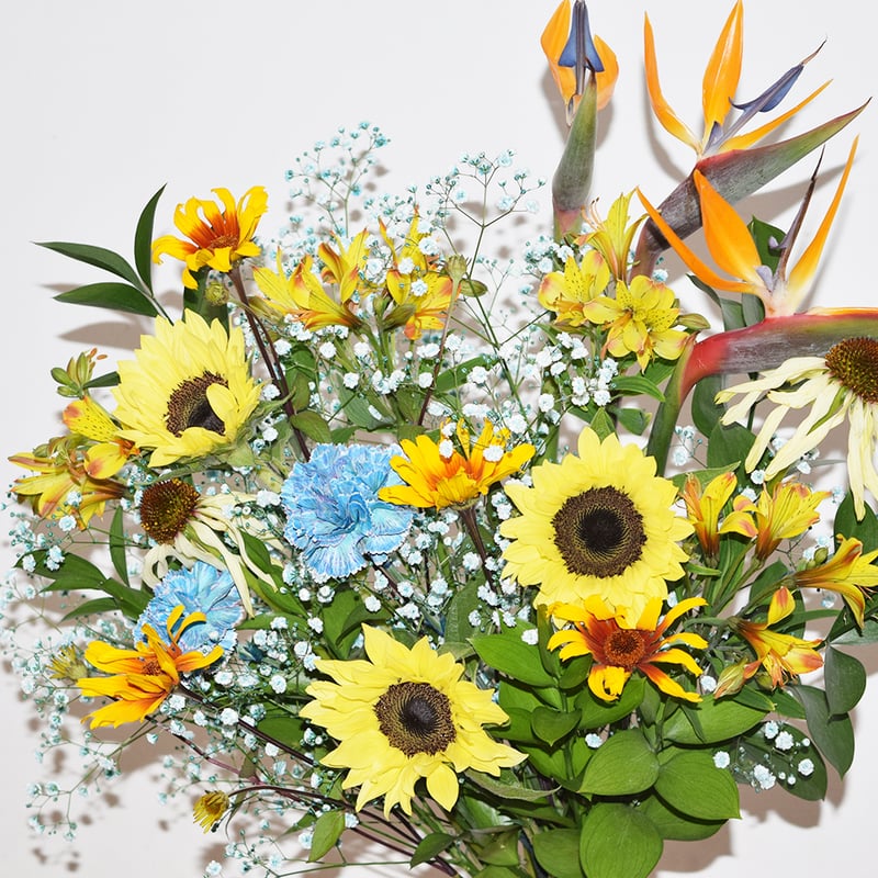 花様 リクエスト 8点 まとめ商品 作品タイトルで選ぶ/Z/X -Zillions of enemy X-(並び順：発売日