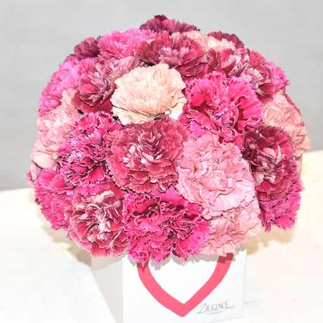 Carnation arrangement