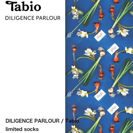 Tabio × DILIGENCE PARLOUR / 球根ブルー