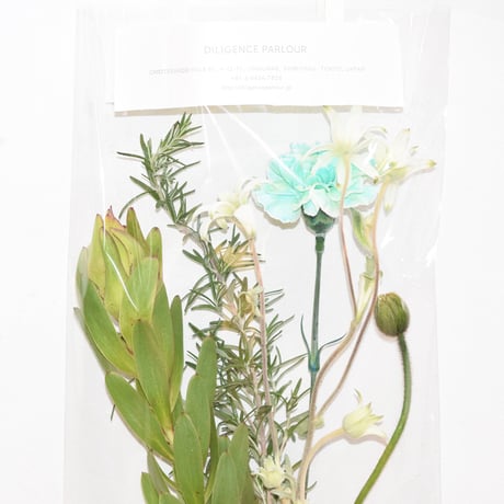 Seasonal bouquet / GREEN& BLUE