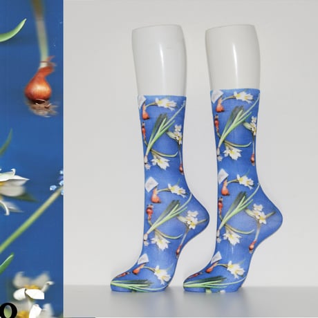 Tabio × DILIGENCE PARLOUR / 球根ブルー