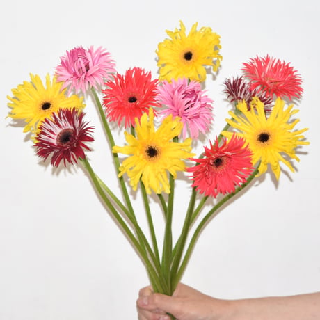 Gerbera bouquet
