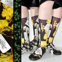 Tabio × DILIGENCE PARLOUR / ストライプ柄BLACK