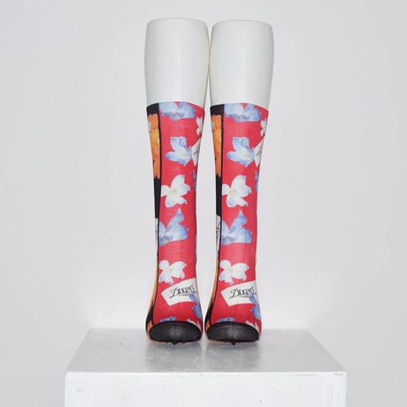 Tabio × DILIGENCE PARLOUR / ストライプ柄RED