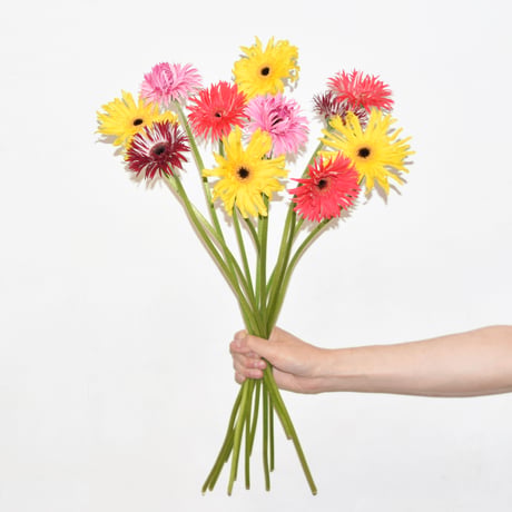 Gerbera bouquet