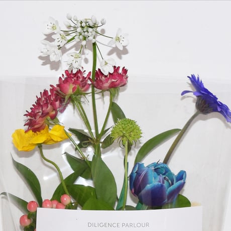 Seasonal bouquet / COLORFUL