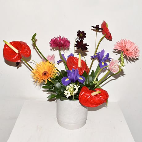 Butterfly arrangement
