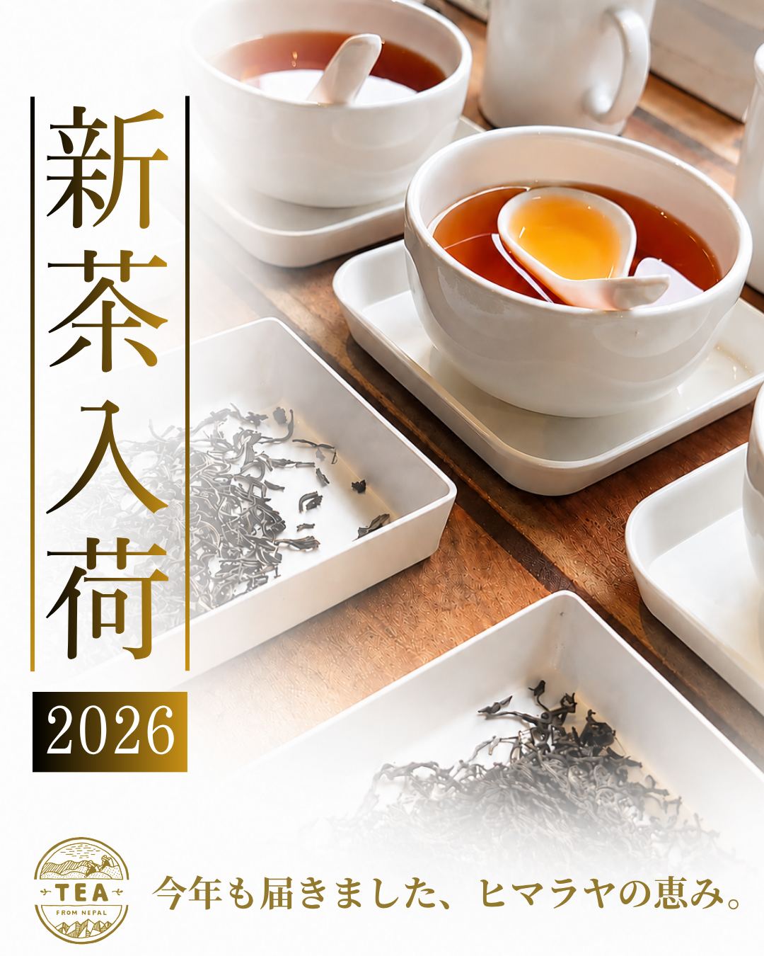残りわずか‼】豊かな香り！◇水出し紅茶・ミルクティーにも最適◇2026