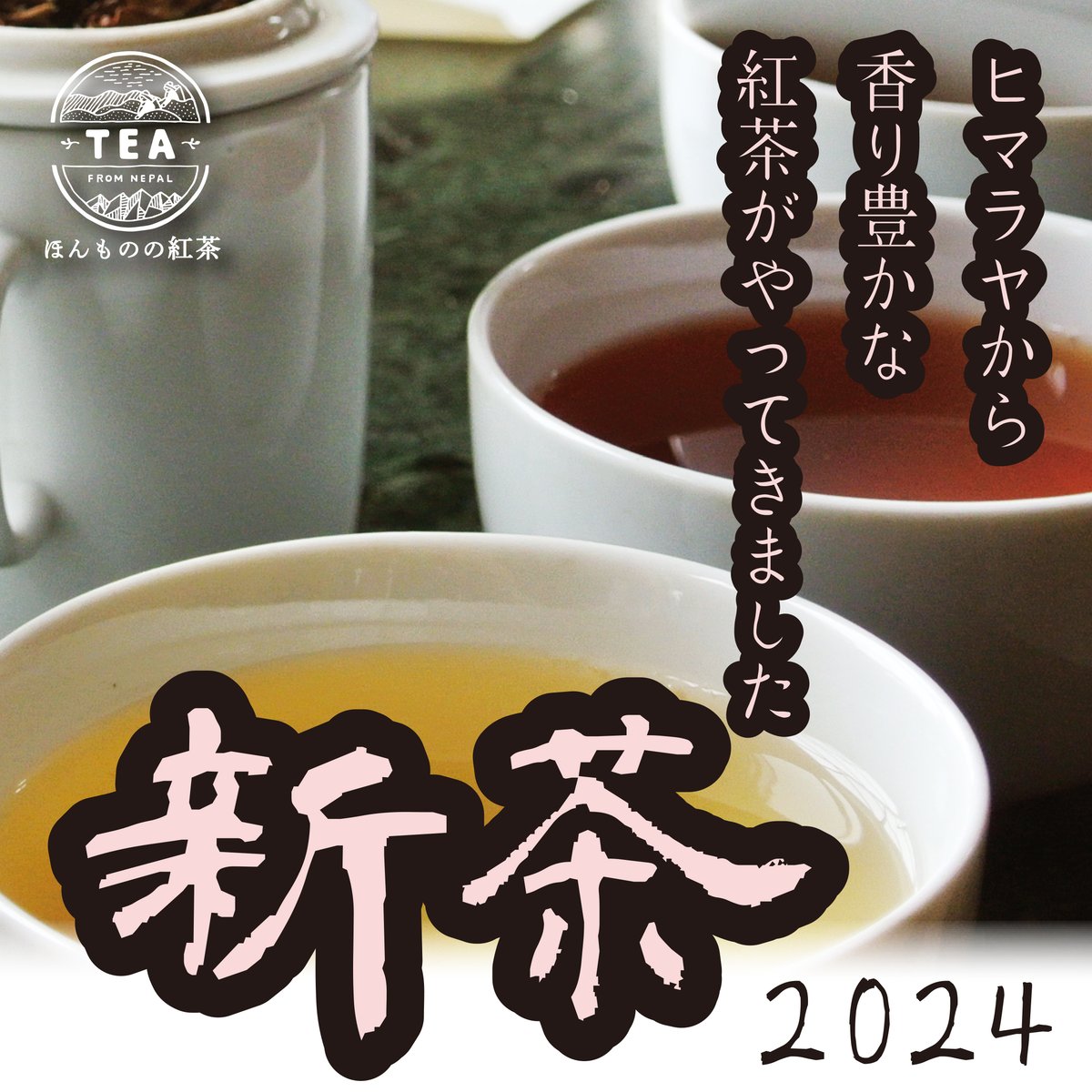 【追跡付き】 紅茶派閥で紹介 アナカラーインターステラ アナカラーマルル 珠玉の出来！！◇水出し紅茶にも最適◇2024年6月収穫 イラム紅茶