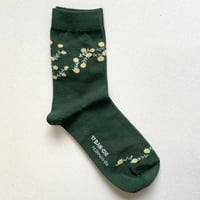 ミモザ　ダークグリーン 23cm〜25cm
