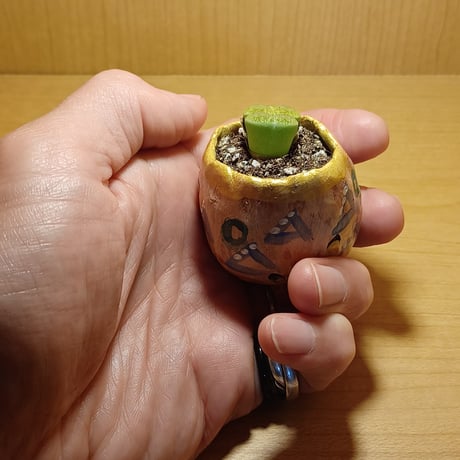 コルオリジナル陶器25613