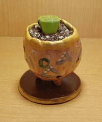 コルオリジナル陶器25613