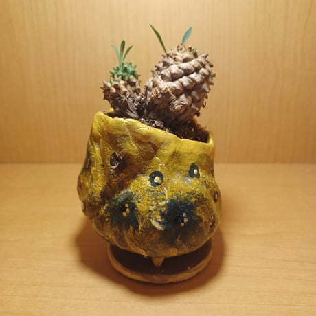 コルオリジナル陶器25612
