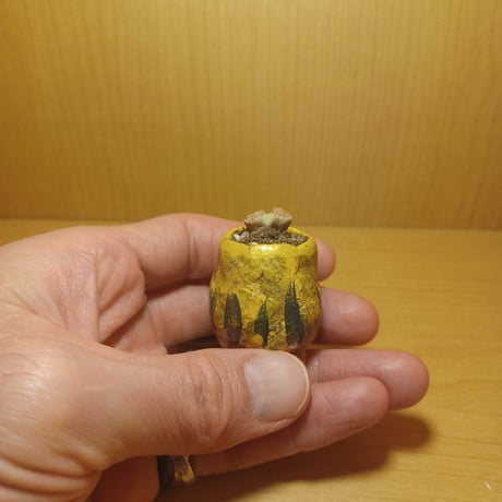 コルオリジナル陶器25524