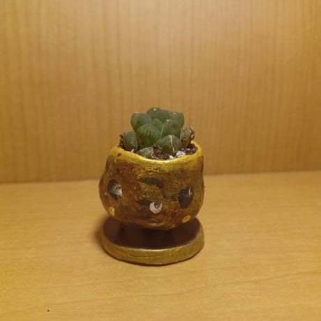 コルオリジナル陶器25522