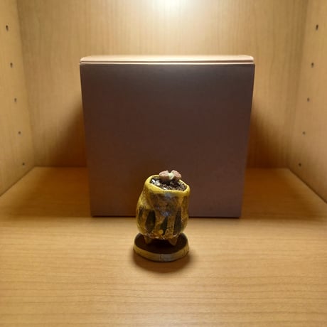 コルオリジナル陶器25524