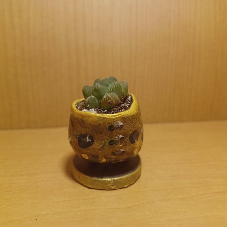 コルオリジナル陶器25522