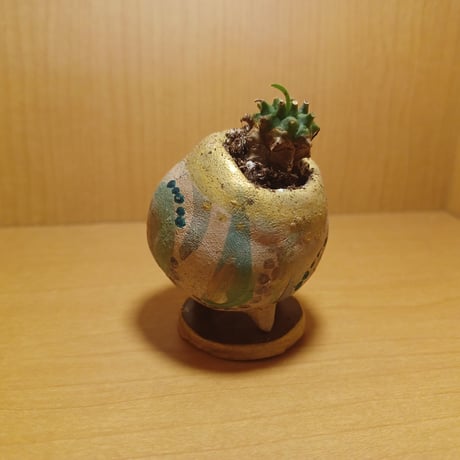 コルオリジナル陶器255261