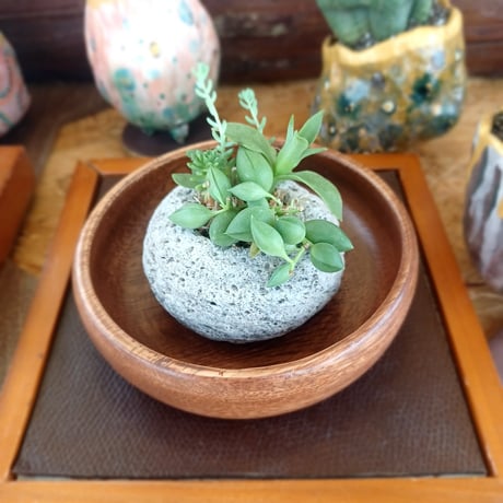 コル軽石大2510252