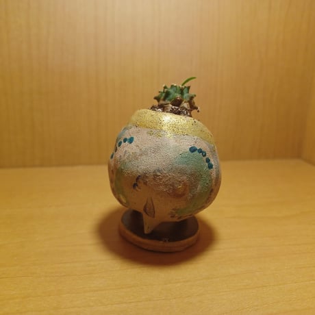 コルオリジナル陶器255261