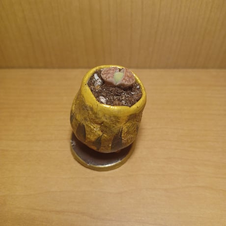 コルオリジナル陶器25524