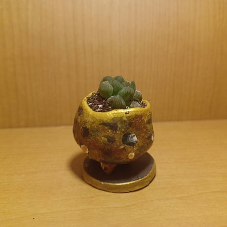 コルオリジナル陶器25522
