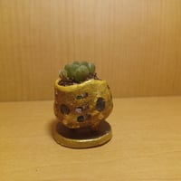 コルオリジナル陶器25522