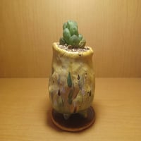 コルオリジナル陶器20260627