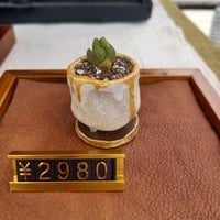 コルオリジナル陶器20260419