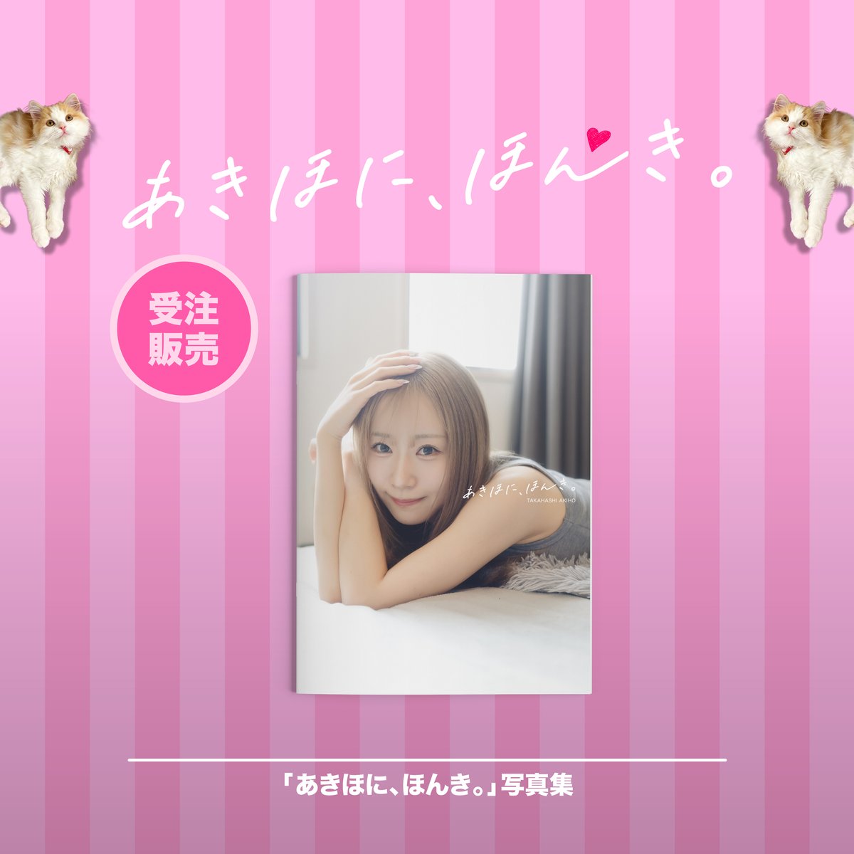 あきほに、ほんき。」写真集（受注生産） | we-B studios ONLINE STORE